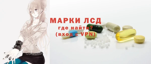 прущие грибы Абинск